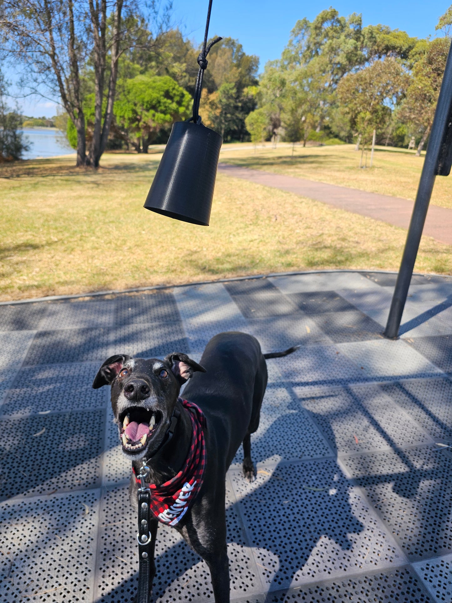 Suspended Scent Cup Training Game