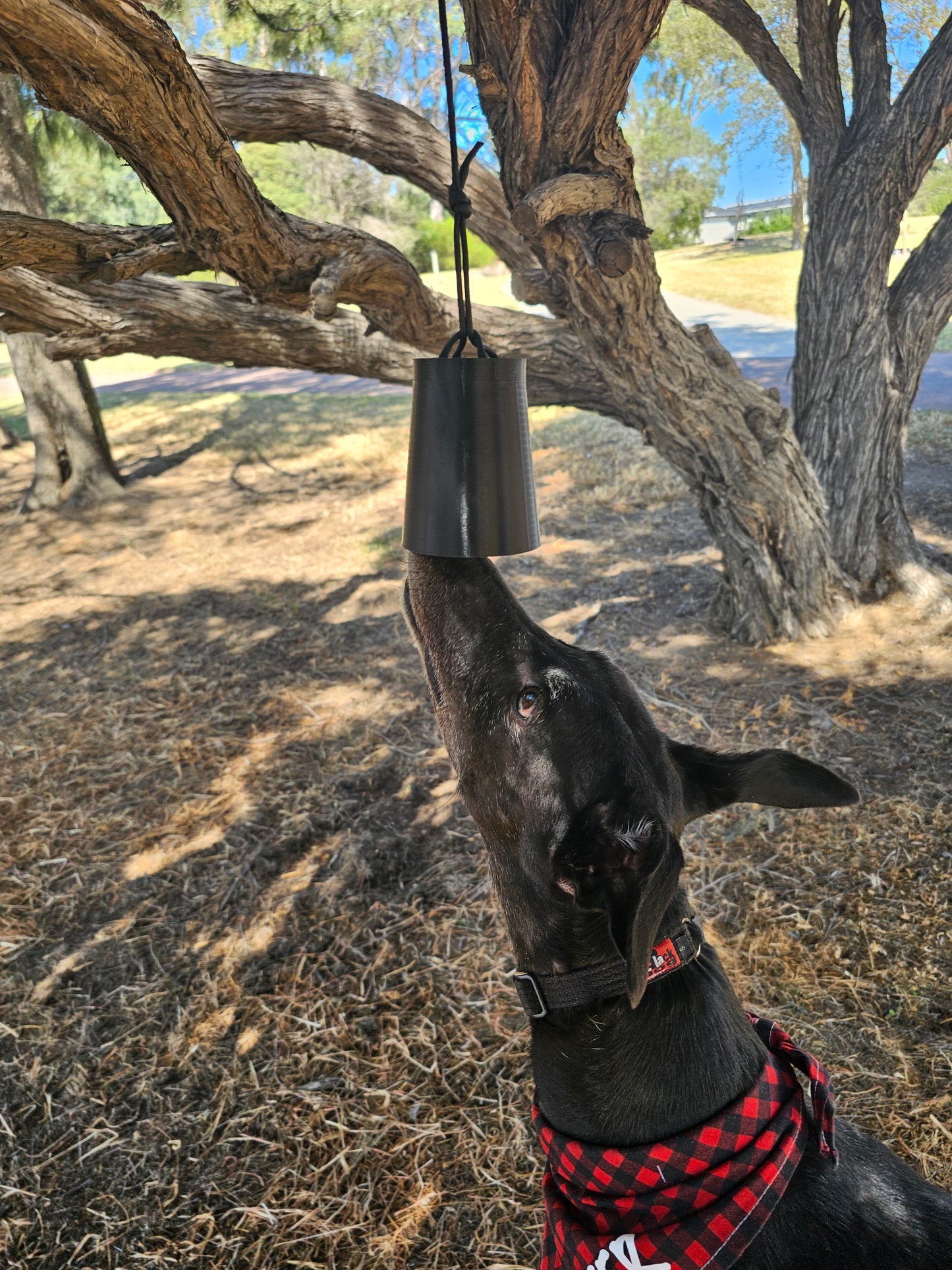 Suspended Scent Cup Training Game