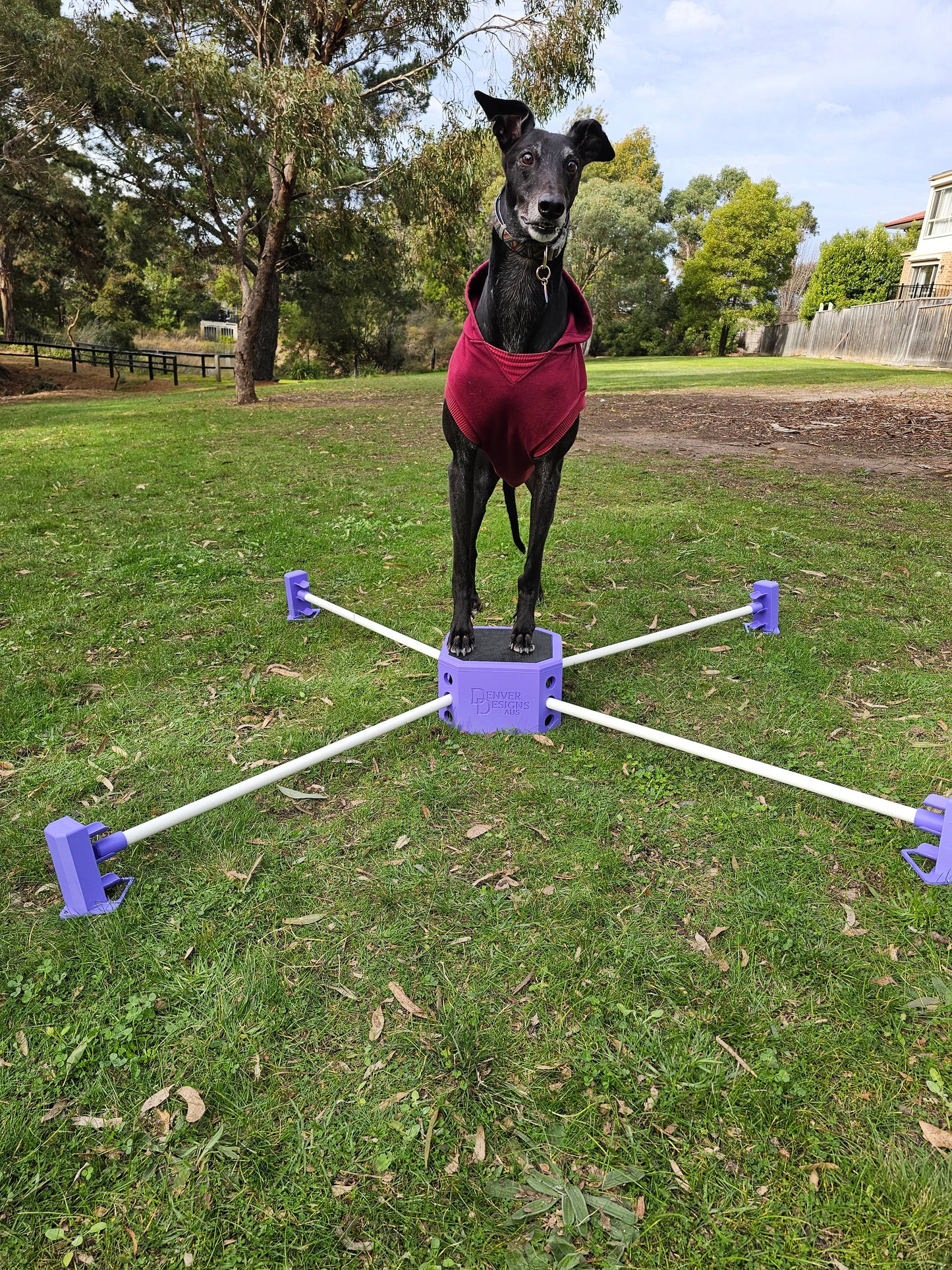 Pivot Training Box