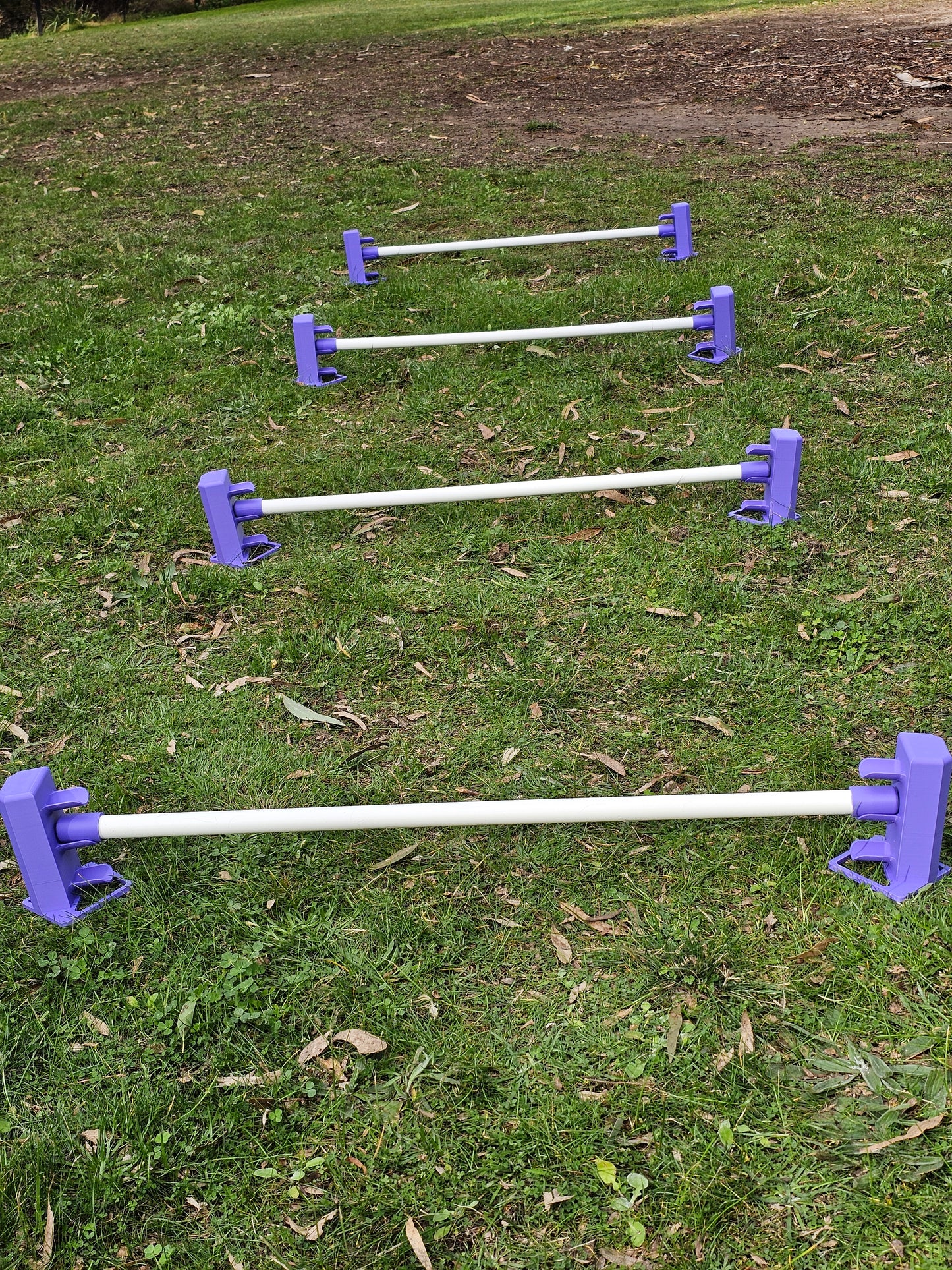 Variable Height Cavaletti Set