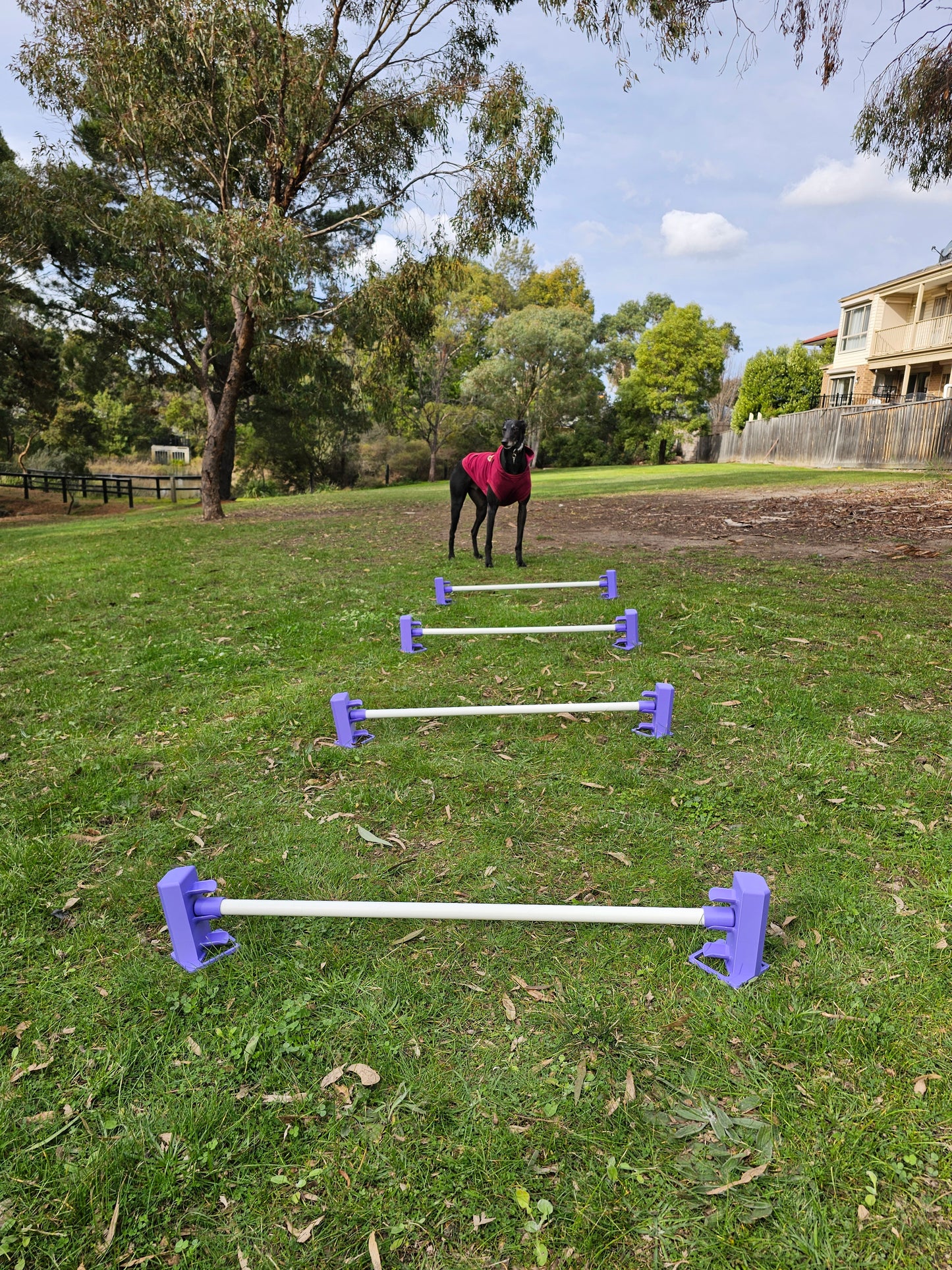 Variable Height Cavaletti Set