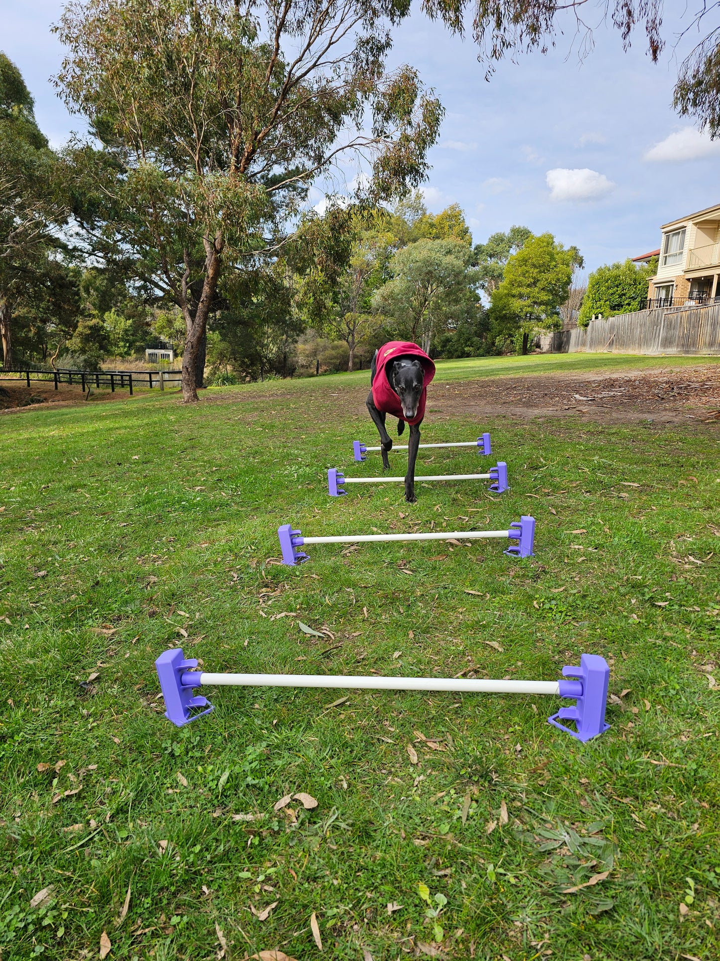 Variable Height Cavaletti Set