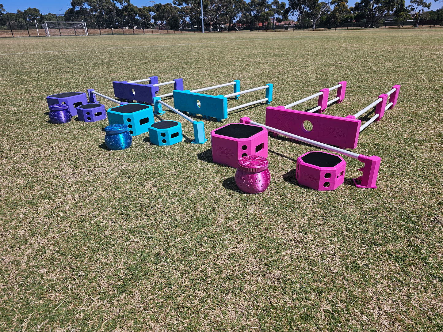 Variable Height Cavaletti Set