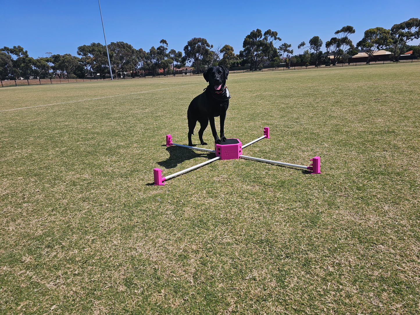 Pivot Training Box