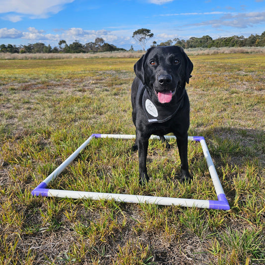 Mini Utility Square (Training)