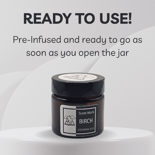 Jar of Scent Work Birch essential oils with text indicating it's ready to use.