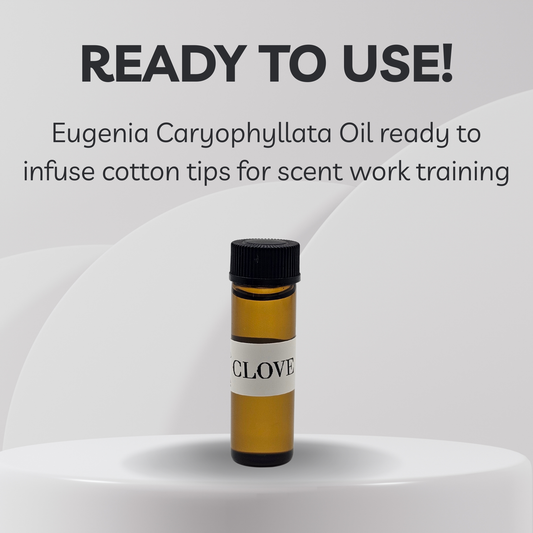 Bottle of Clove oil labeled 'Ready to Use' on a white background