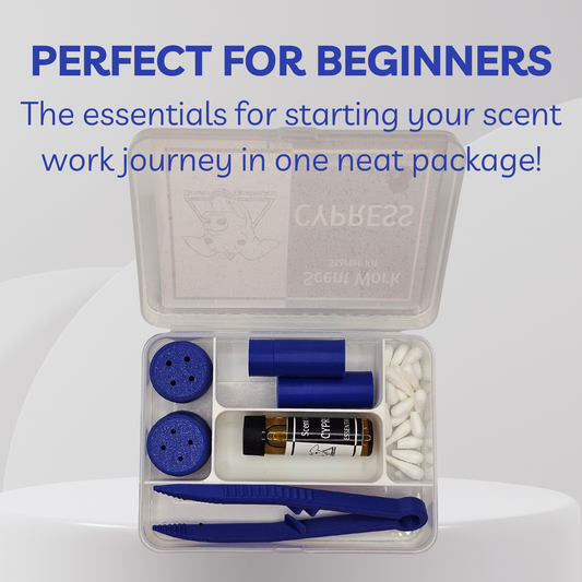 An open clear plastic case containing a scent-making kit with blue accessories, white cotton tips, and a small amber bottle labeled 'CYPRESS' and 'Scent Work'. Large blue text at the top reads 'PERFECT FOR BEGINNERS' with a subtitle about starting your scent work journey in one neat package.
