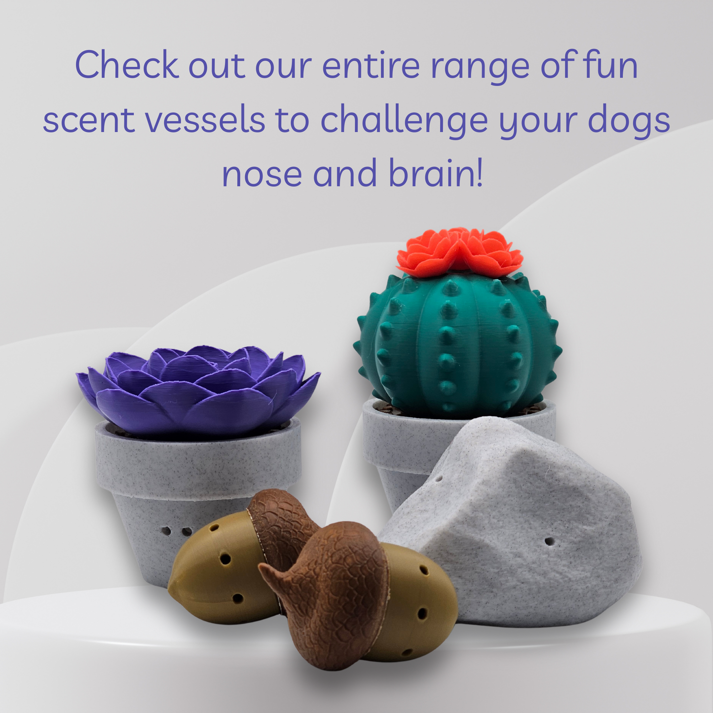 Colorful scented dog toys shaped like plants and animals on a white surface with promotional text.