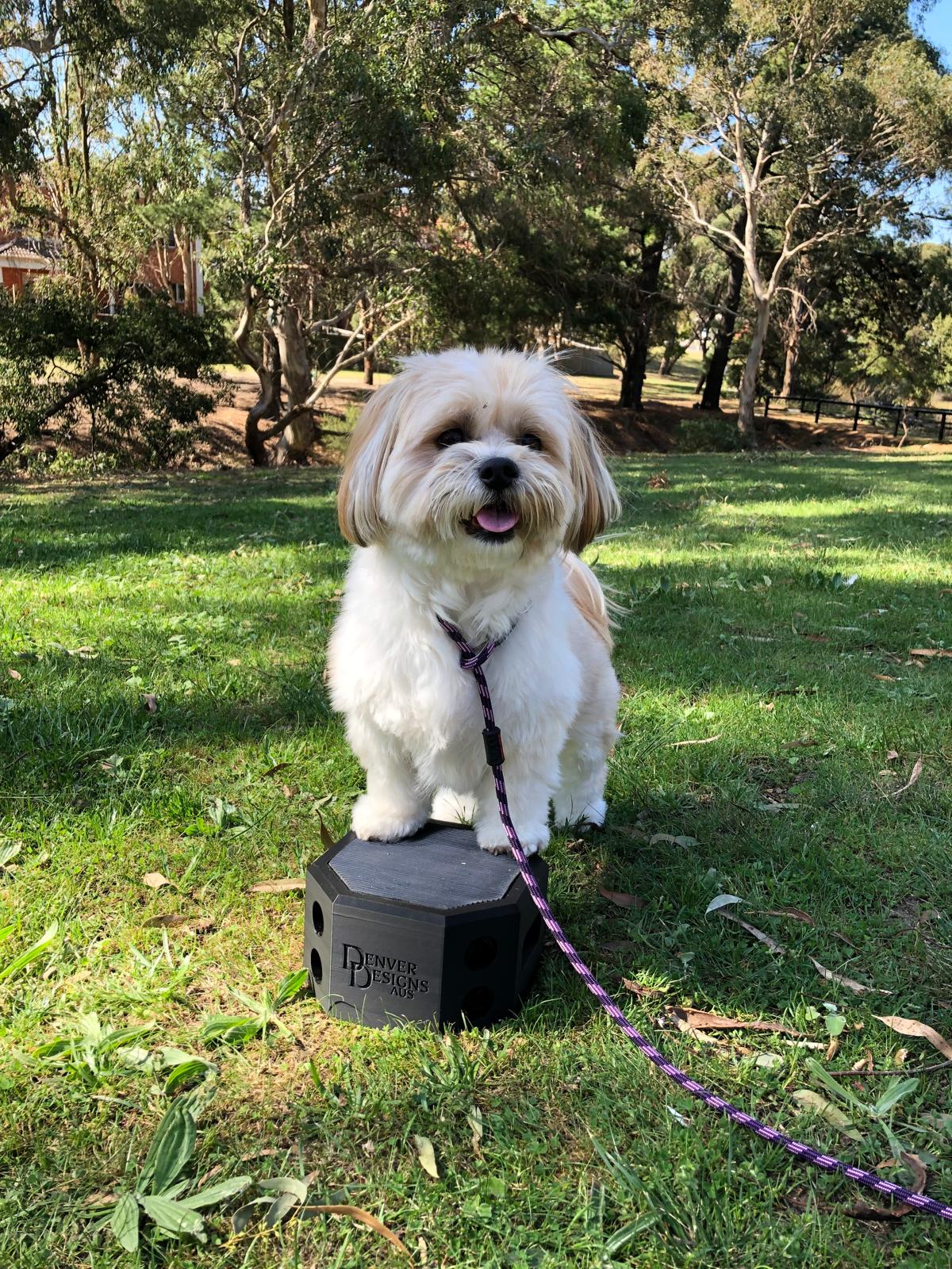 Pivot Training Box