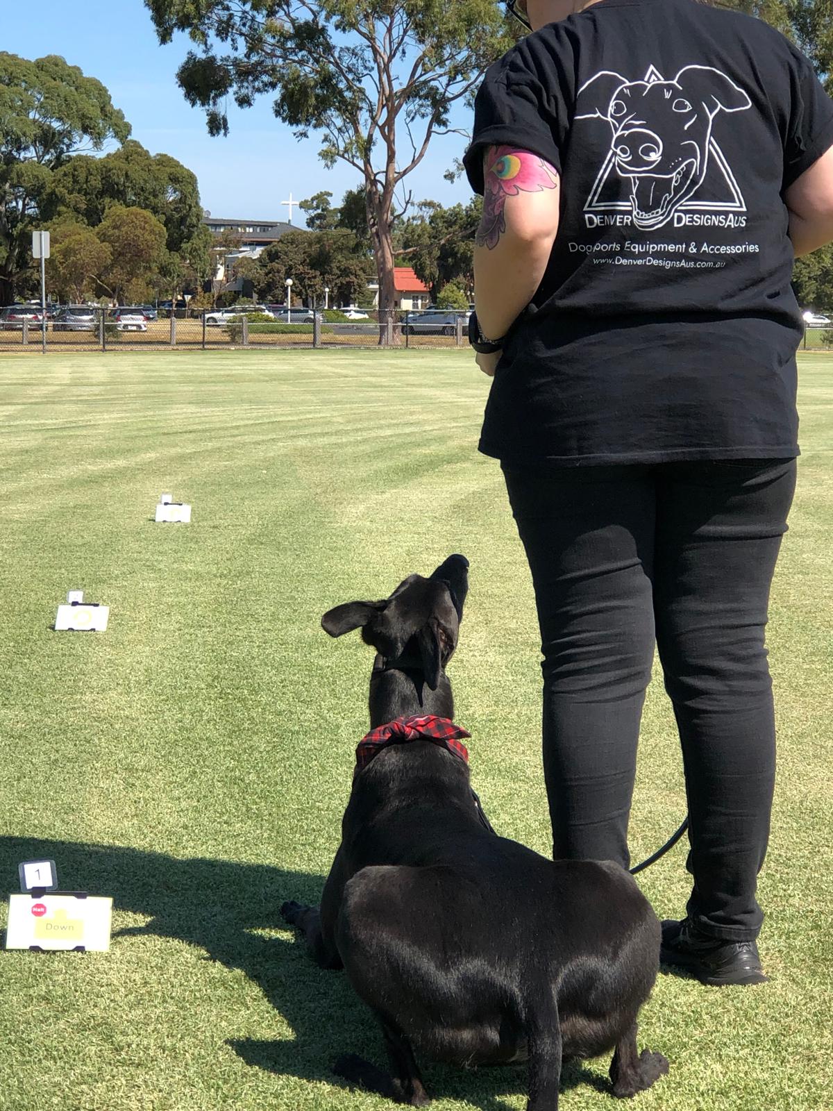 ANKC Rally – Denver Designs Aus