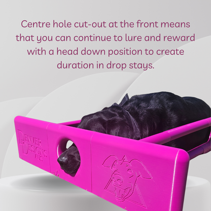Deluxe Adjustable Position Training Box