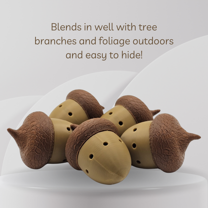 Acorn Scent Vessel (2-Pack)