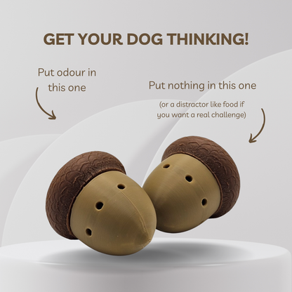 Acorn Scent Vessel (2-Pack)