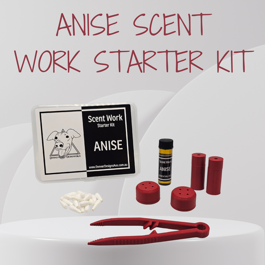Anise Scent Work Starter Kit by Denver Designs Aus, featuring a small labeled tin, white cotton tips, red cylindrical vessels, and red metal tongs on a light gray background with large red text reading 'ANISE SCENT WORK STARTER KIT'.