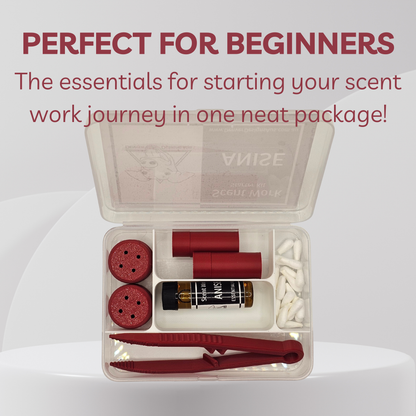 An open clear plastic kit box containing a small labeled bottle, red cylindrical vessels, two round red vessels, white cotton tips, and red tweezers, with large text above reading 'PERFECT FOR BEGINNERS'.