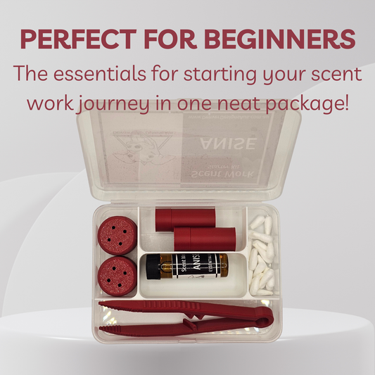 An open clear plastic kit box containing a small labeled bottle, red cylindrical vessels, two round red vessels, white cotton tips, and red tweezers, with large text above reading 'PERFECT FOR BEGINNERS'.
