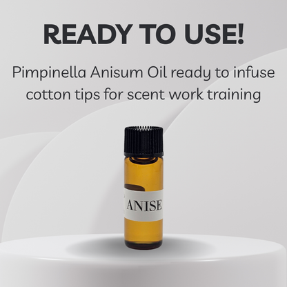 Pimpinella Anisum oil bottle with label on a white background