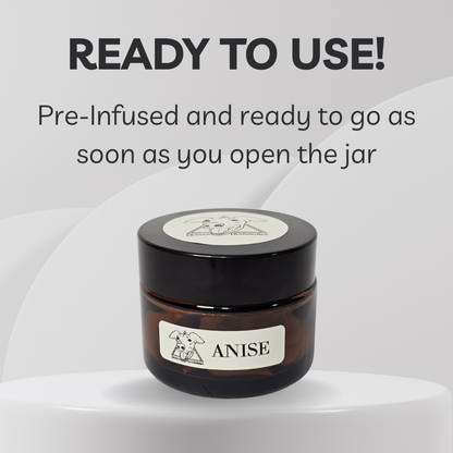 Jar labeled 'Anise' with a black lid on a white background, text indicating it's pre-infused and ready to use.