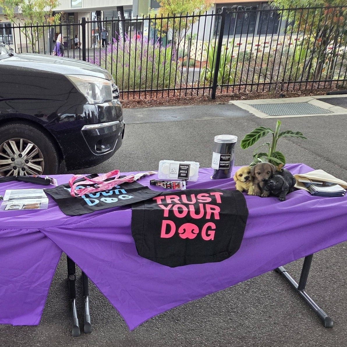 Purple tablecloth-covered table with various items including a gift basket and merchandise in front of a black car.
