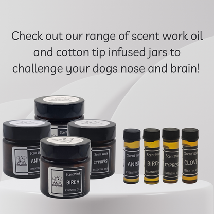 Collection of scent work oil jars and cotton tip infused jars on a white background with text promoting their use for dogs.