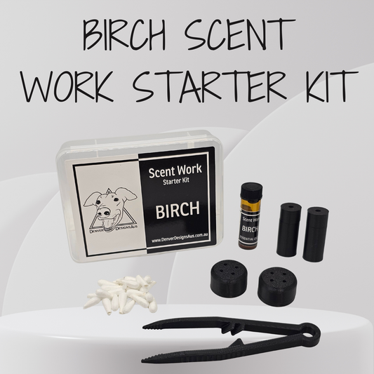 Birch Scent Work Starter Kit by Denver Design Aus, featuring a clear plastic storage container, a small bottle of birch oil, two black magnetic vessels, two black brick wall vessels, white cotton tips, and black tweezers, arranged on a light gray and white graphic background with the text 'BIRCH SCENT WORK STARTER KIT' at the top.