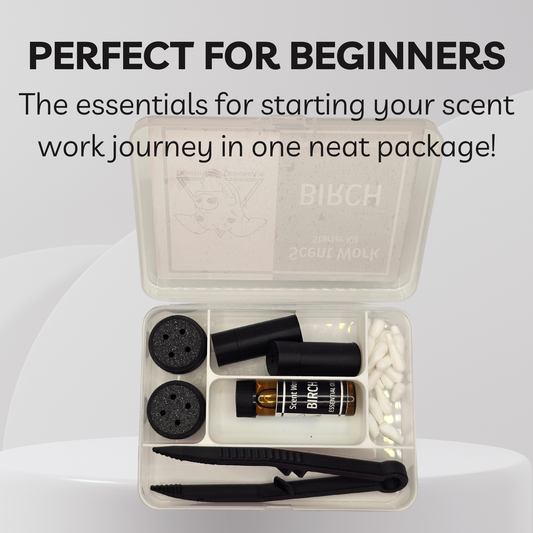 A beginner's scent work kit in a clear plastic case, shown open on a light gray background with promotional text at the top. The kit includes black vessels, a small amber bottle labeled BIBCH, white cotton tips, black tweezers, and black magnetic vessels.