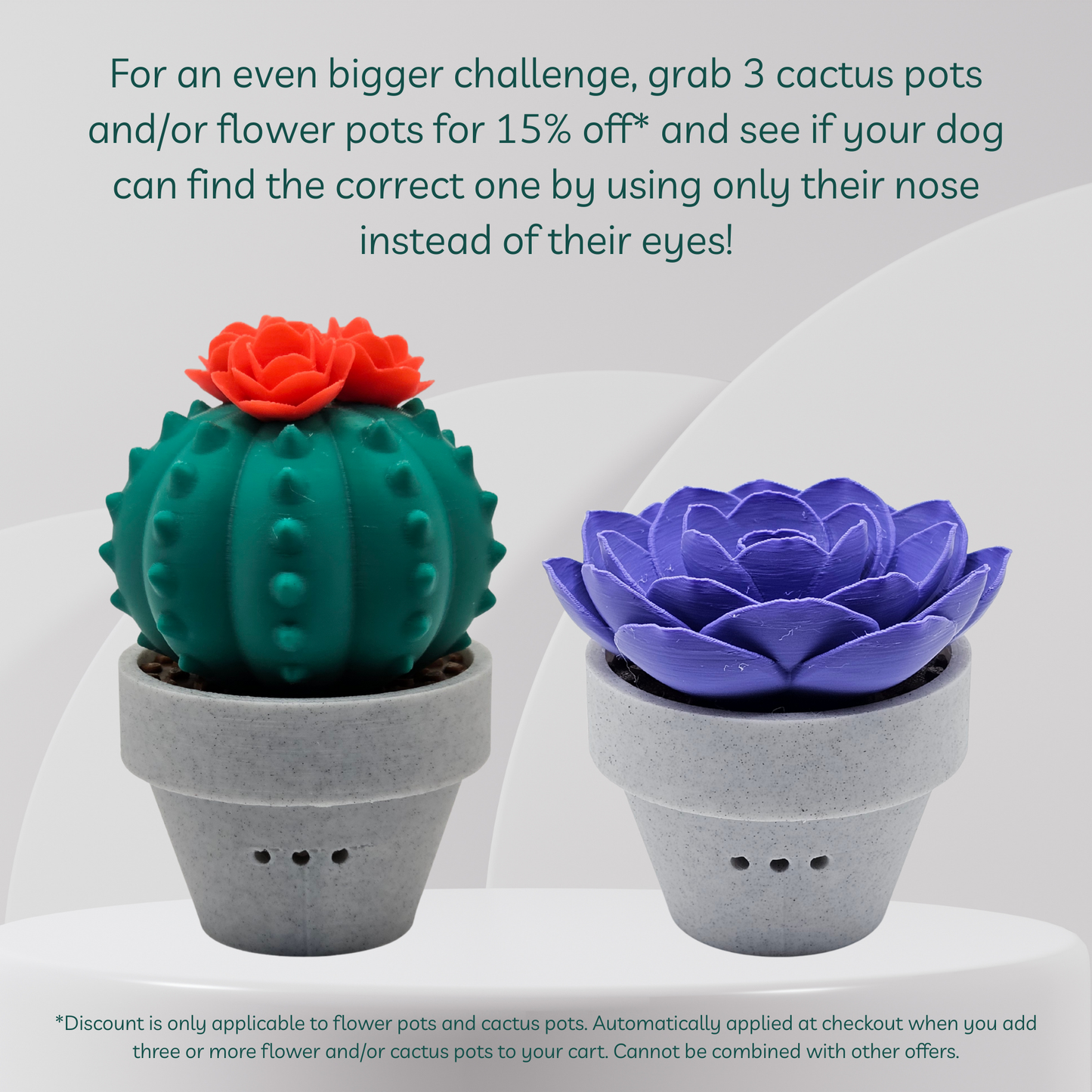 Two decorative pots shaped like a cactus and a flower on a white background with promotional text.