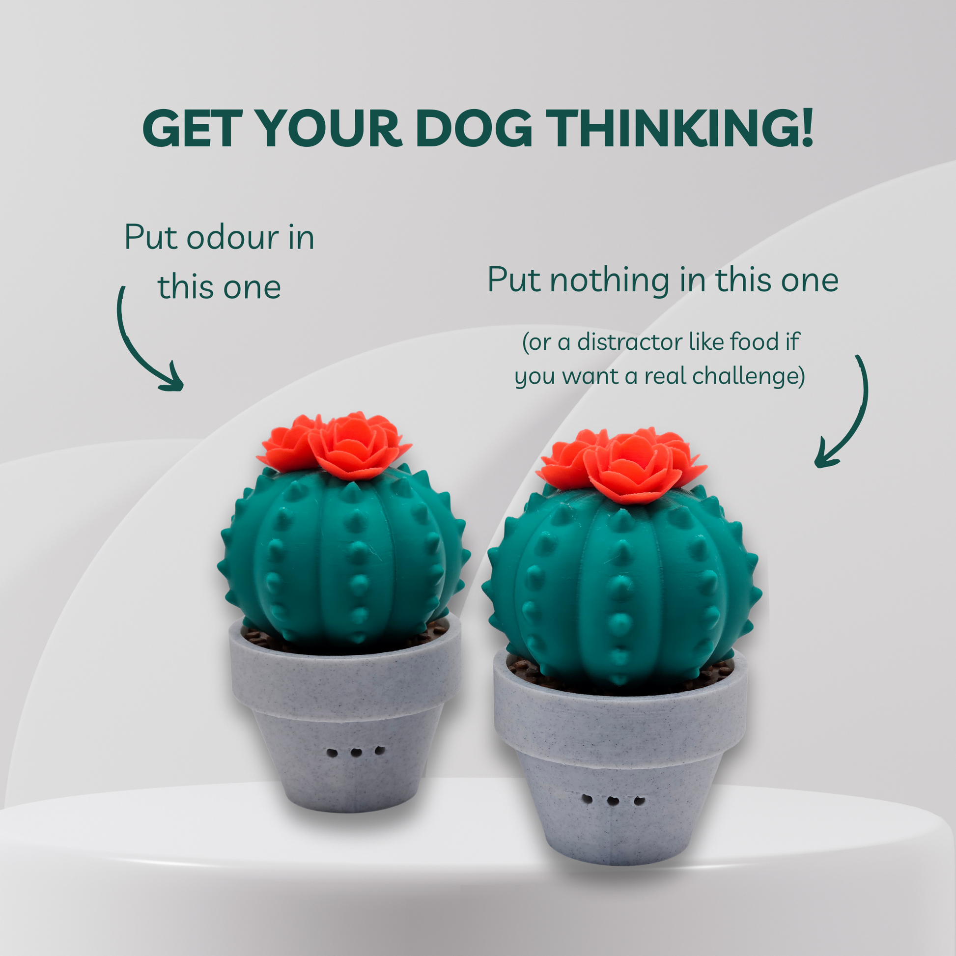 Two green cactus-shaped pet toys with text on a white background