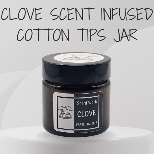 Jar of clove scent infused cotton tips with 'Scent Work' label on a white background