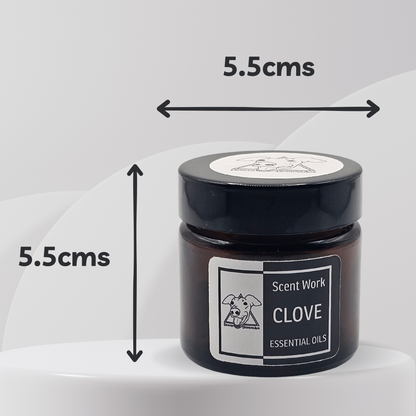 Jar of Scent Work Clove essential oils with dimensions indicated