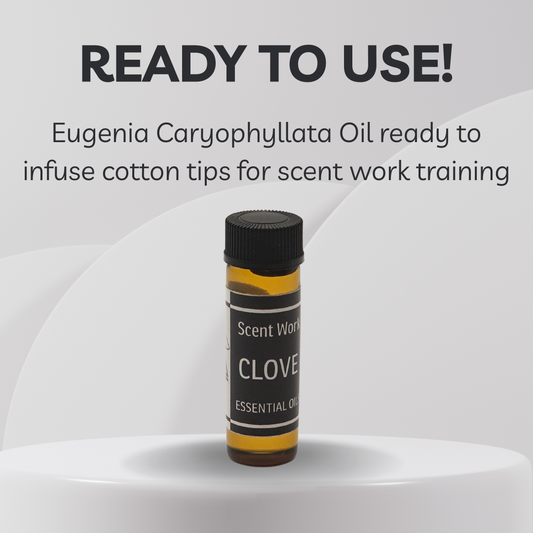 Essential oil bottle labeled 'Clove' on a white background with text about its use.