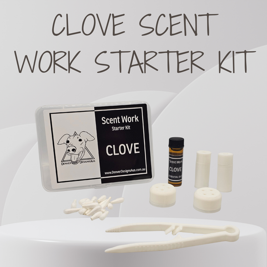 Clove Scent Work Starter Kit containing a small plastic case with a black and white label, a small amber bottle, white magnetic vessels, white cylindrical brick wall vessels, and white tweezers, arranged on a white surface with a gray background and the text 'CLOVE SCENT WORK STARTER KIT' at the top.