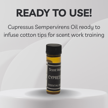 Cypress essential oil bottle with text about using it for scent work training on a white background