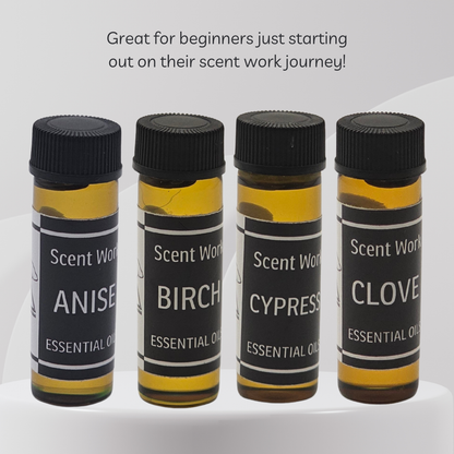 Four bottles of Scent World essential oils with labels for Anise, Birch, Cypress, and Clove on a white background.