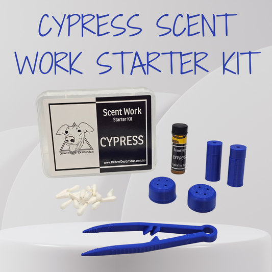 Cypress Scent Work Starter Kit by Denver Designs Aus, featuring a clear plastic case with a black and white label, a small bottle of oil, several blue cylindrical vessels, white cotton tips, and blue metal tweezers, arranged on a light gray background with blue text at the top.