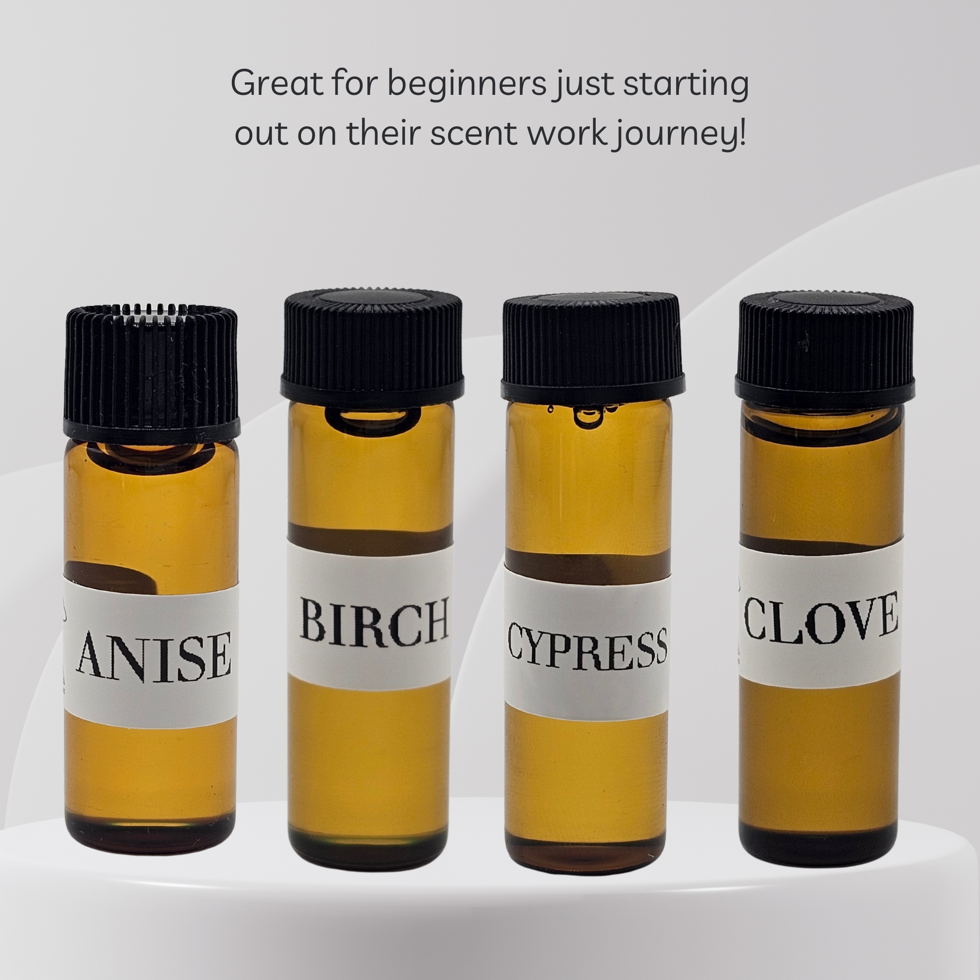 Four small glass bottles with black lids labeled 'Anise', 'Birch', 'Cypress', and 'Clove' on a white background.