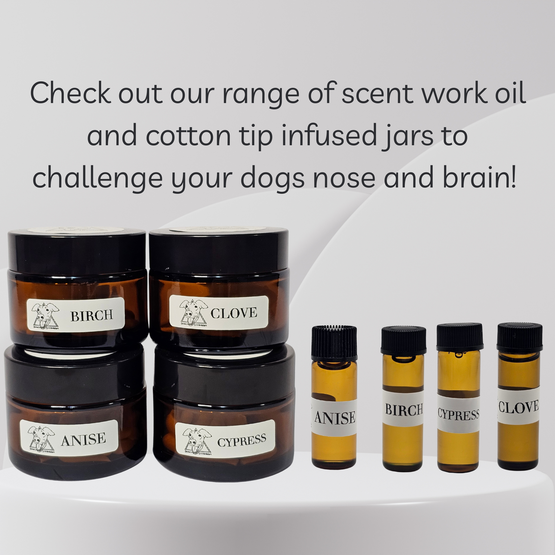 Collection of scent work oil jars and cotton tip infused jars on a white background with text.