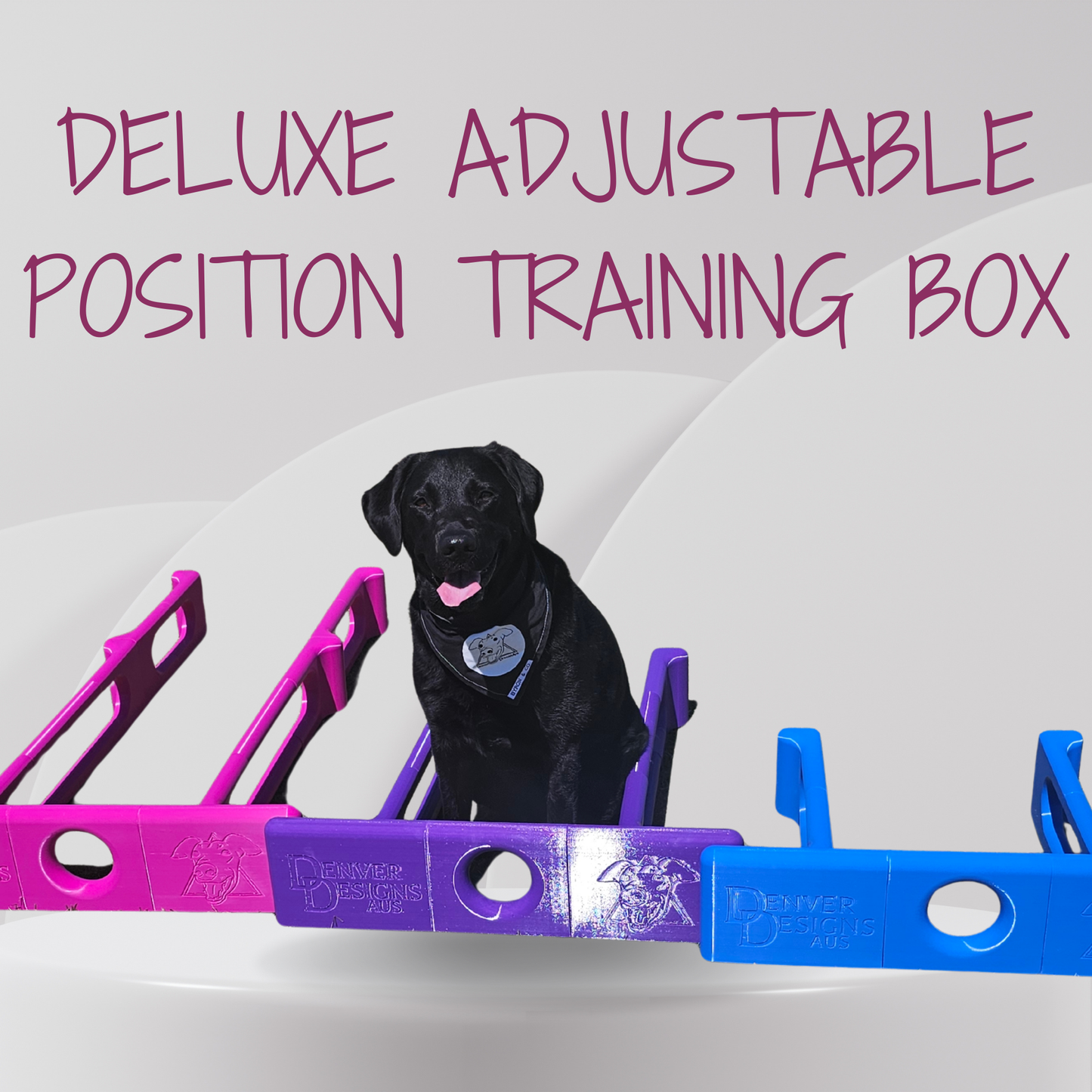Black dog inside a purple and blue deluxe adjustable position training box with text above.
