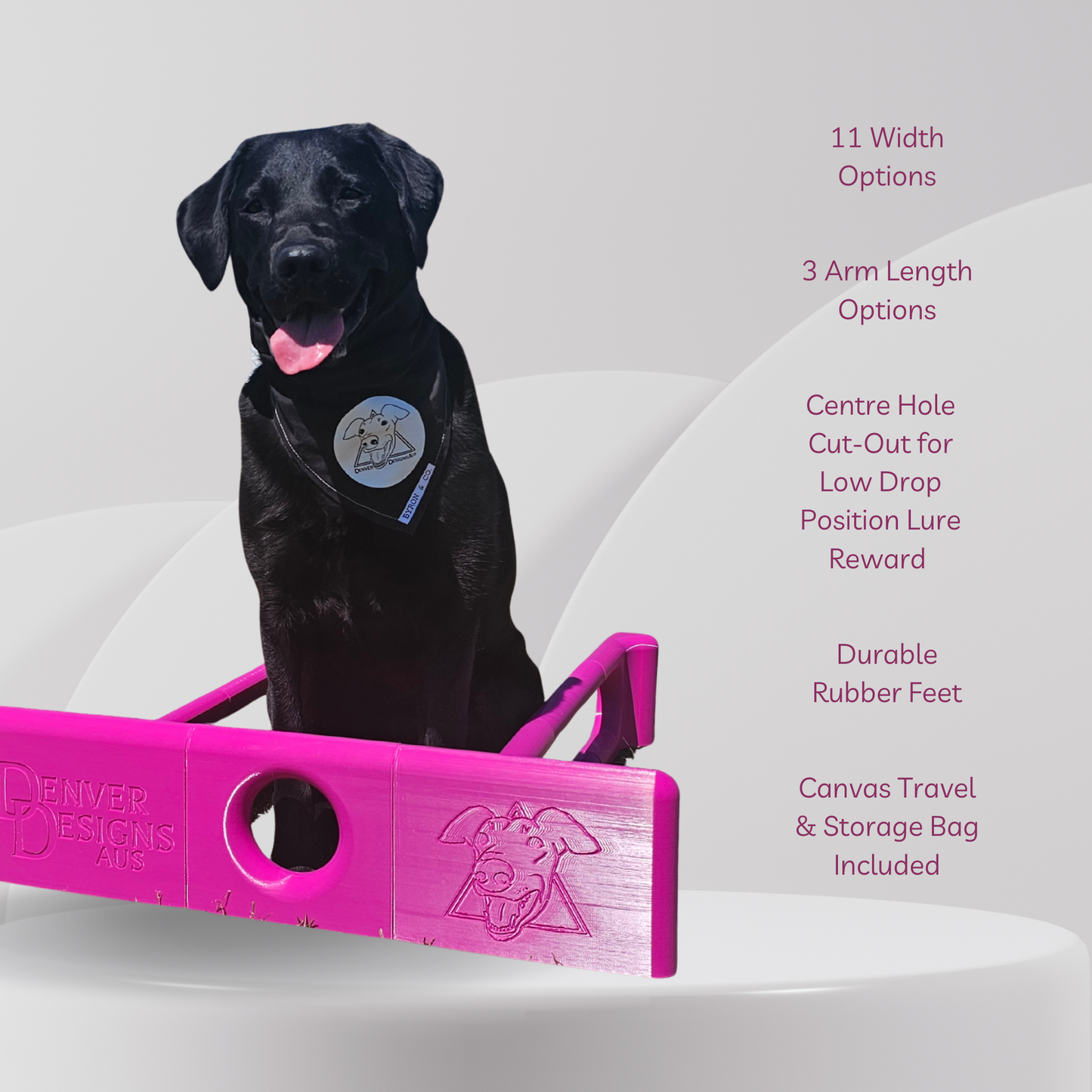 Black dog sitting on a pink and purple training aid with product features listed.