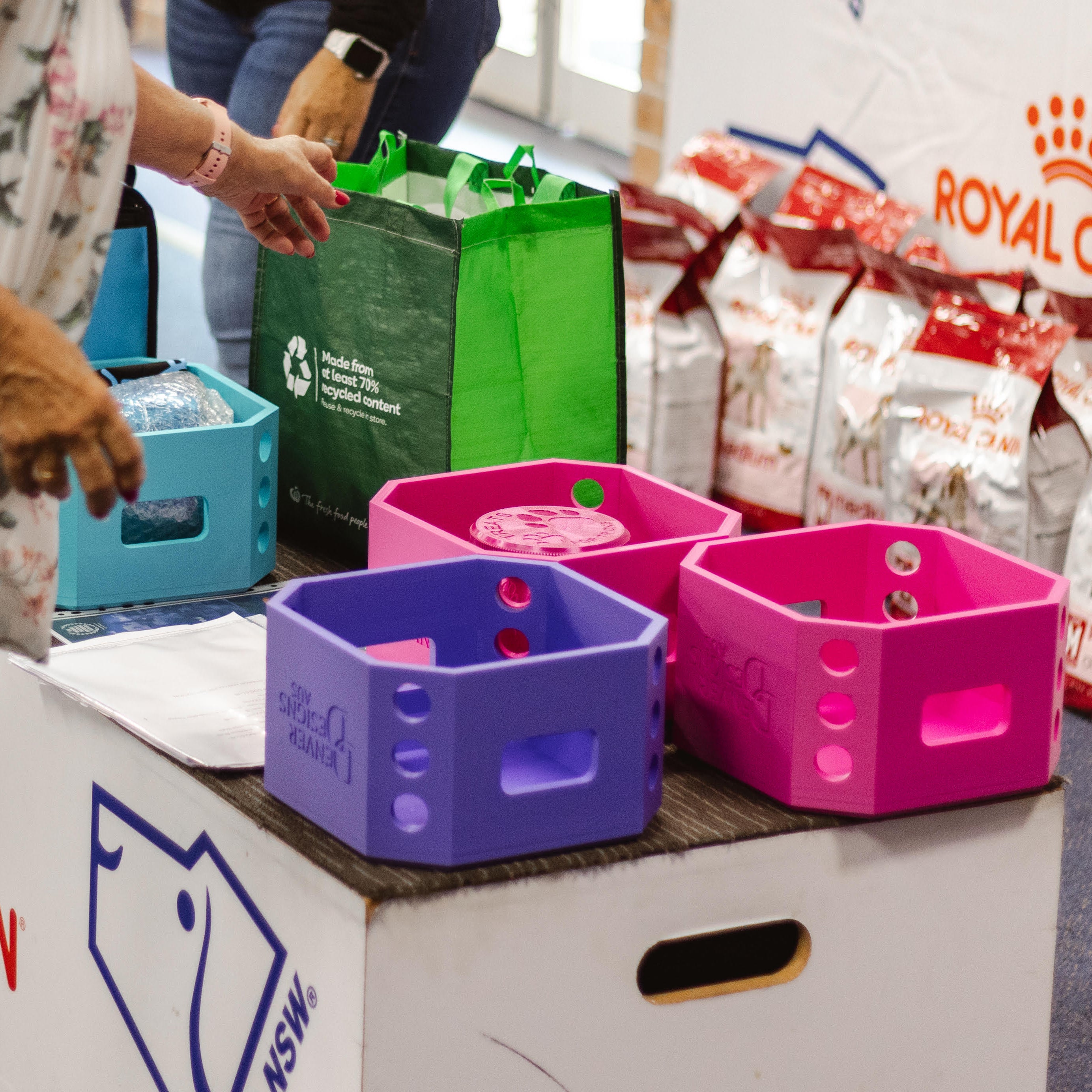 Person interacting with colorful pivot boxes and Royal Canin pet food bags in a store setting.