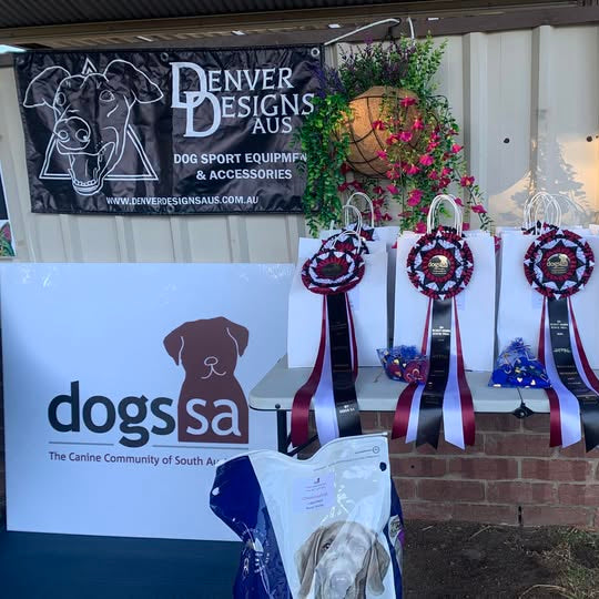 Dog show ribbons displayed on a table with 'Denver Designs Aus' and 'dogs sa' branding in the background.