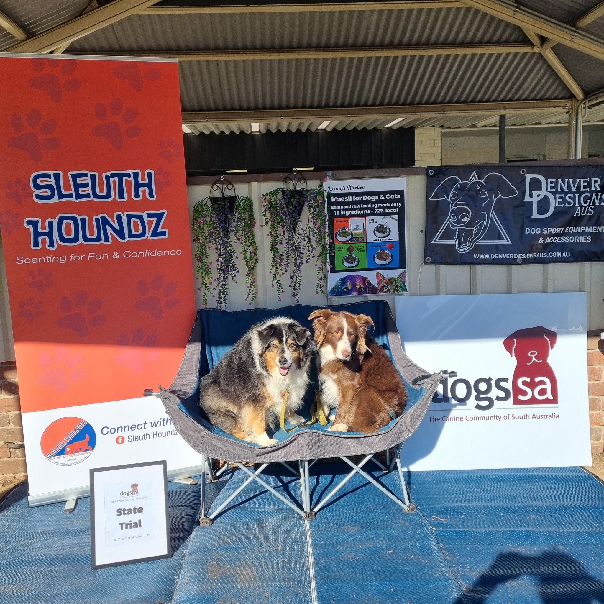 Two dogs sitting on a camping chair with promotional banners in the background