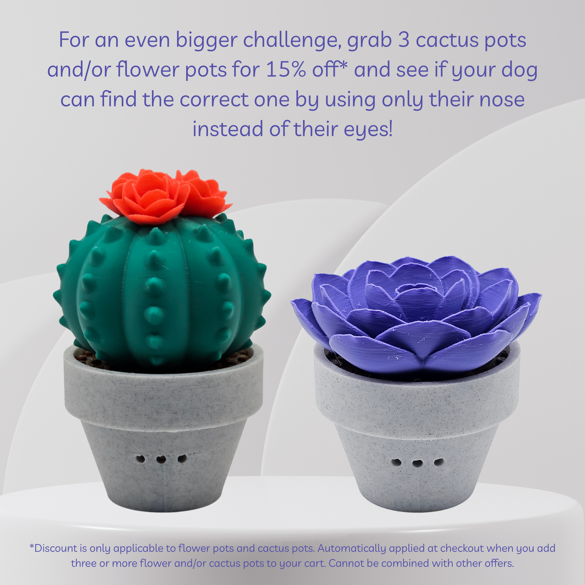 Two decorative pots shaped like a cactus and a flower on a white background with promotional text.