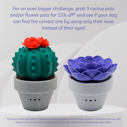 Two decorative pots shaped like a cactus and a flower on a white background with promotional text.