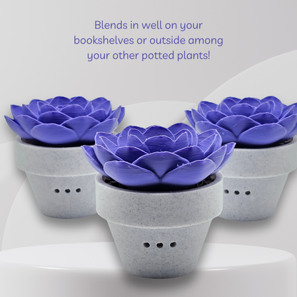 Three purple artificial succulents in gray pots on a white surface with text about their use.
