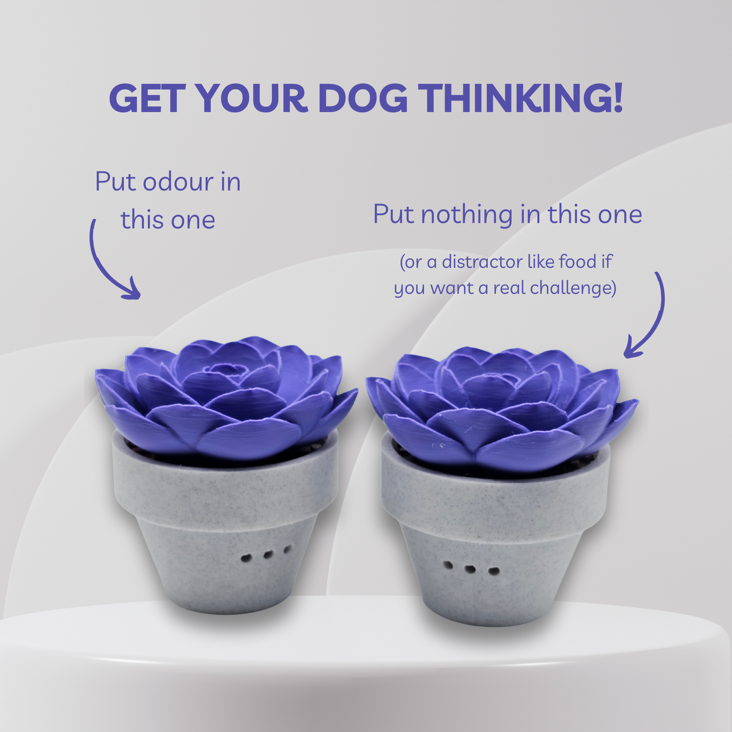 Two purple flower-shaped pet toys with text on a white background