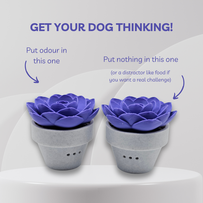 Two purple flower-shaped pet toys with text on a white background