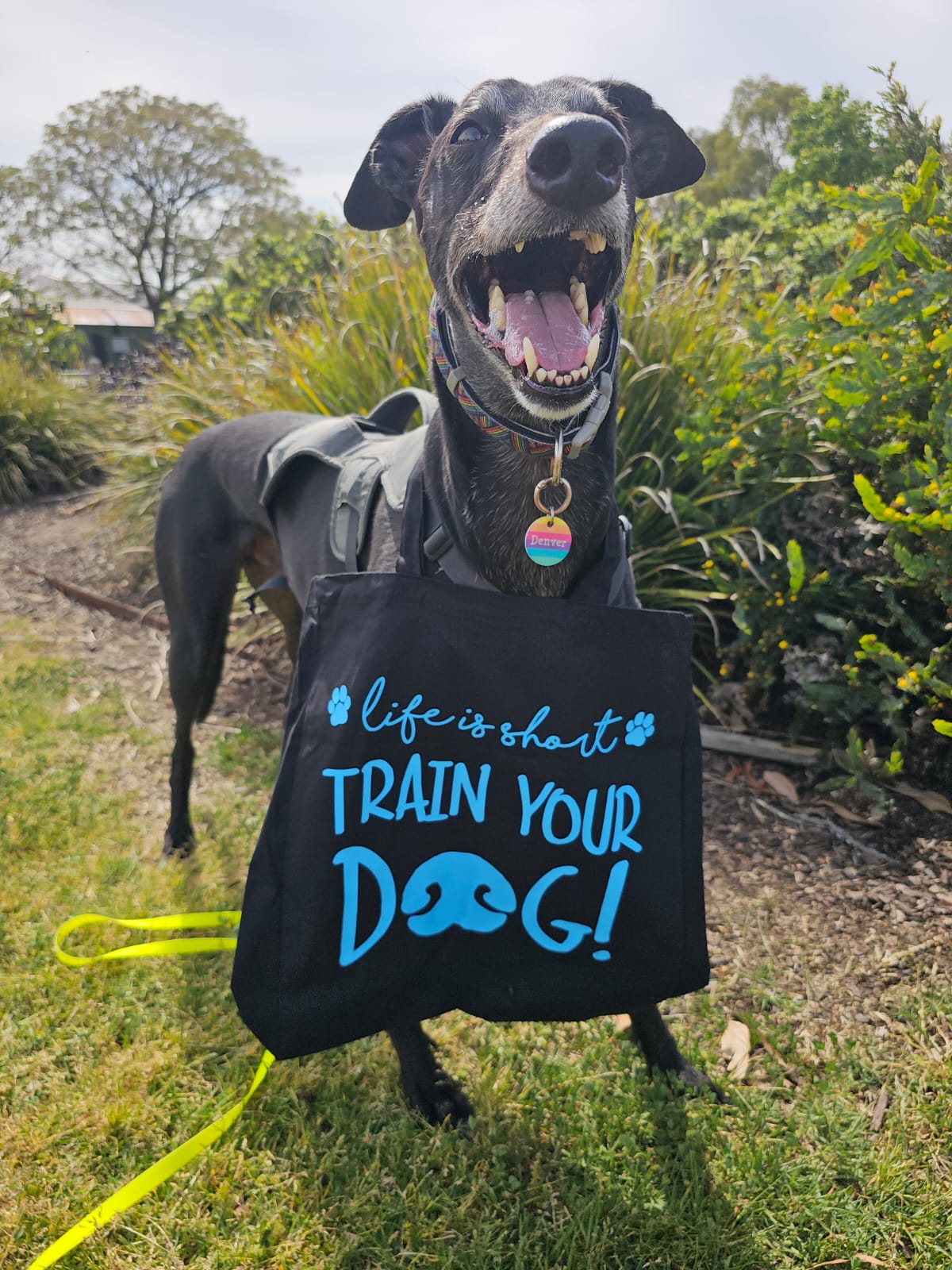 Tote Bag "Home is Where the Dog Hair Is"