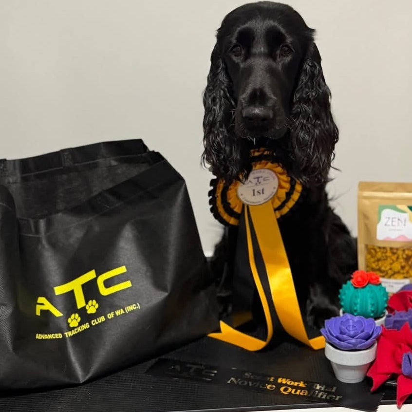 Dog with ribbons and dog treats on a table